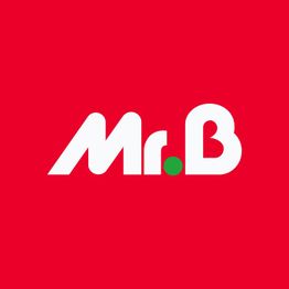 Mr.Bricolage Arles