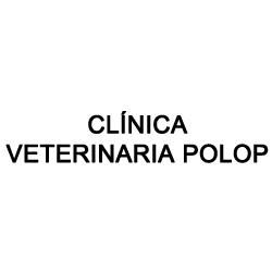 Clínica-Veterinaria-Polop.jpg