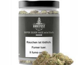 Hanfpost.ch (by Wonderland Trading GmbH) Bild 5
