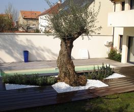Jardin Vert Eden image 10