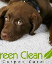 CARPET CARE SARL Bild 1