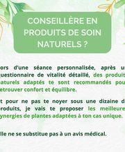 La Petite Plante image 7