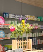 Aussenansicht der Reiter-Apotheke im Pferdeviertel