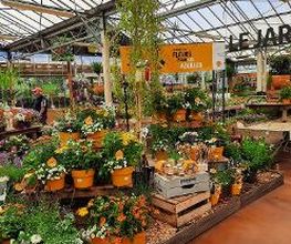JARDILAND image 2
