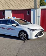 Carreisen + Taxi Vogel Bild 4