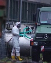 Enviro Pest Control GmbH Bild 4