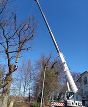 Haussener Kran und Transport GmbH Bild 17