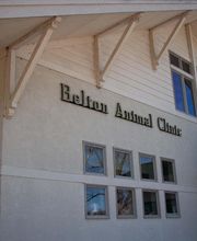 Belton Animal Clinic & Exotic Care Center image 16