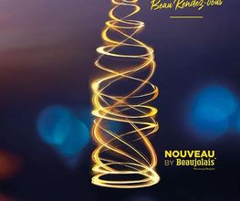 Art De Vie image 3