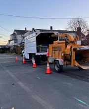 Owen's Tree Expert image 12