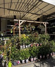 Bricorama Jardres image 16