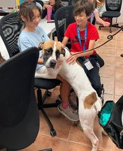Humane Society Of Greater Miami North image 18