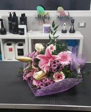 Gallery Cliente