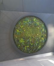 Savi PAYSAGE image 4