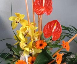 Des Fleurs En Plus image 4