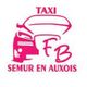 Taxi Semur en Auxois Fanny Bourion