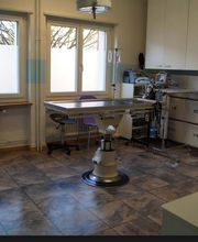 Kleintierpraxis Gerliswil AG Bild 8