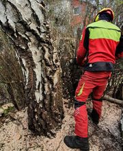 Der Gartenpionier Bild 6