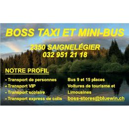 Boss taxi et mini-bus Sàrl