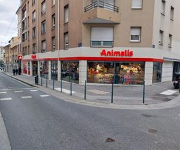 Animalis Lyon 4 image 4