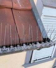 TouslesNuisibles - Lecongelo Thermique image 18