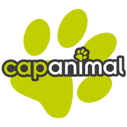 Cap Animal Autun