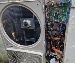Pacclim78 image 4