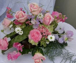 Blumen Götschi Bild 8