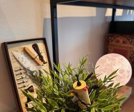 ALC Conseils Immobiliers Bild 3