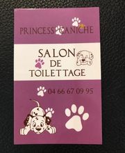 PRINCESS CANICHE image 3