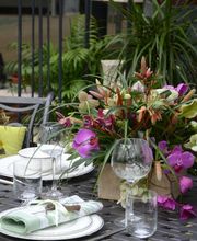 Sommerer & Co Bild 6