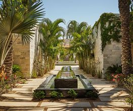 A pathway lined with palm trees leading to a luxury spa.