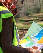 ALLIANCE Forêts Bois image 1