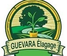 Guevara Elagage image 1