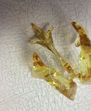 Physio - José Bild 5