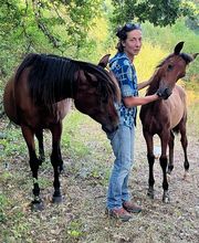Ferme Equestre la Fontaine image 7