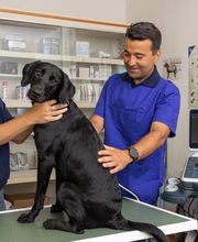 Tierarztpraxis BeoVet AG Bild 2