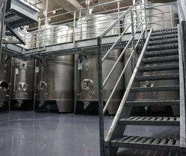 Weingut Hubertus M. Apel Bild 11