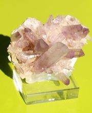 Roig Raymond image 16