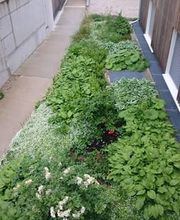 LEDER Garten- + Landschaftsbau Bild 10