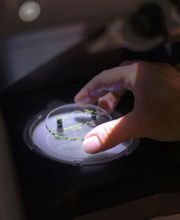 KUHNI OPTIQUE image 13