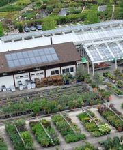 Lehmann Baumschulen AG Bild 12