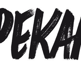 PEKAR Bild 1
