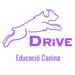 307335471-1-bPbVdlV3TH1781512927097.png