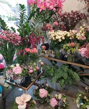 Des racines aux fleurs image 2
