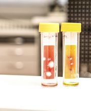 Kleintierklinik am See Bild 6