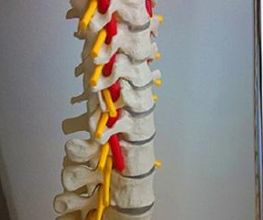 Physiotherapie Bielatal Bild 6
