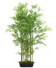 Ambiente Lichtkultur Bild 14