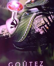 O' PLAISIRS PARTAGES image 3