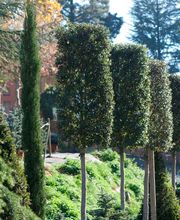 Can Jover Cultius imagen 4